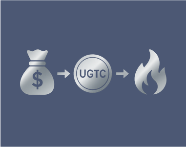 Buyback & Burn Program